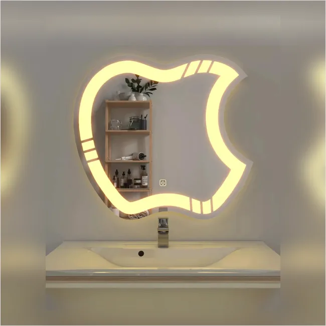 LED 25